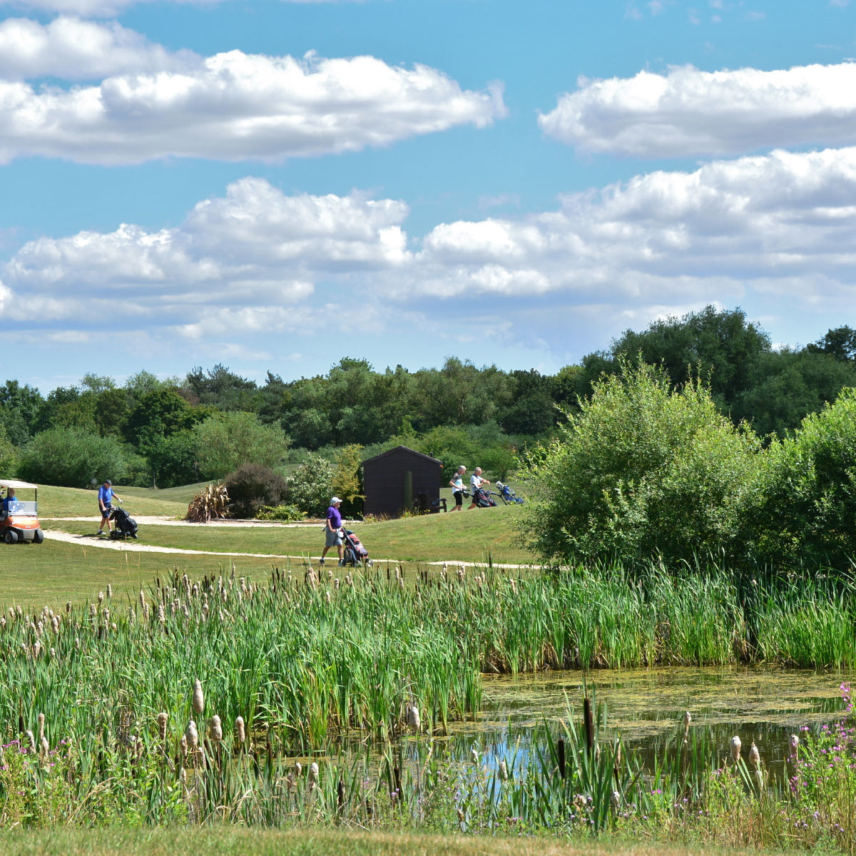 Lexden Wood Golf Club